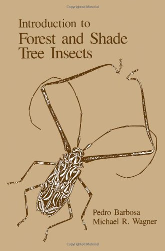 Stock image for Introduction to Forest and Shade Tree Insects for sale by Recycle Bookstore