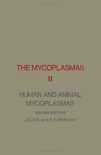 Stock image for The Mycoplasmas Vol. 2 : Human and Animal Mycoplasmas for sale by Better World Books Ltd