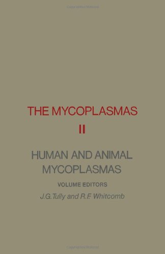 Stock image for Mycoplasmas: Human and Animal Mycopasmas for sale by a2zbooks