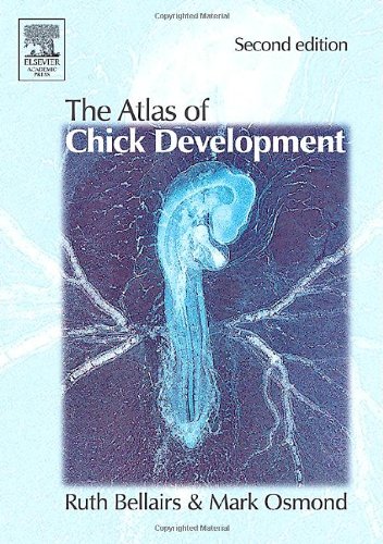 9780120847914: Atlas of Chick Development