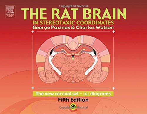 Stock image for The Rat Brain in Stereotaxic Coordinates - The New Coronal Set for sale by HPB-Red