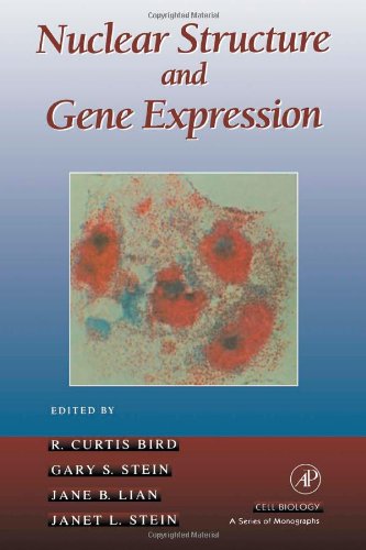 Stock image for Nuclear Structure and Gene Expression: Nuclear Matrix and Chromatin Structure (Cell Biology) for sale by Phatpocket Limited