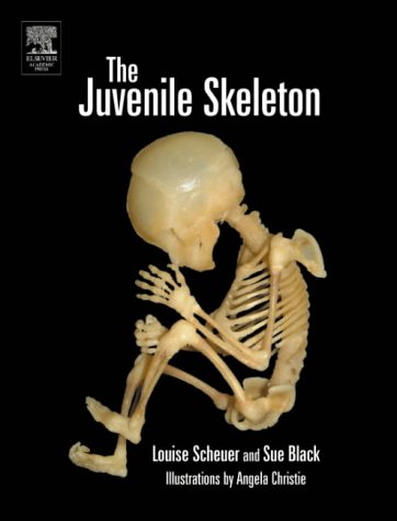 Stock image for The Juvenile Skeleton for sale by Better World Books Ltd