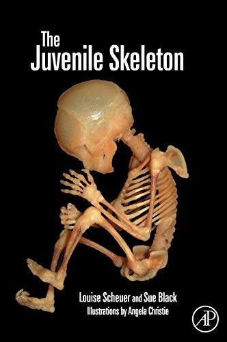 9780121028213: The Juvenile Skeleton