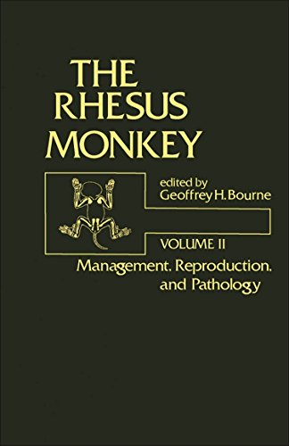 Imagen de archivo de The Rhesus Monkey, Volume II: Management, Reproduction, and Pathology a la venta por Row By Row Bookshop