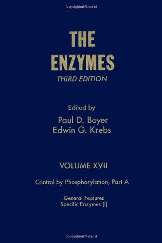 Beispielbild fr The Enzymes : Control by Phosphorylation zum Verkauf von Better World Books