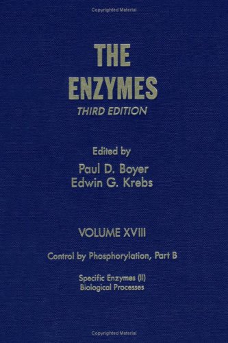 Beispielbild fr The Enzymes. Volume XVIII: Control by Phosphorylation. Part B: Specific Enzymes (II) Biological Processes. Third Edition zum Verkauf von Zubal-Books, Since 1961