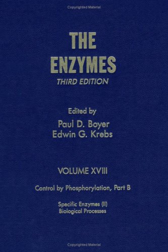 Imagen de archivo de The Enzymes. Volume XVIII: Control by Phosphorylation. Part B: Specific Enzymes (II) Biological Processes. Third Edition a la venta por Zubal-Books, Since 1961