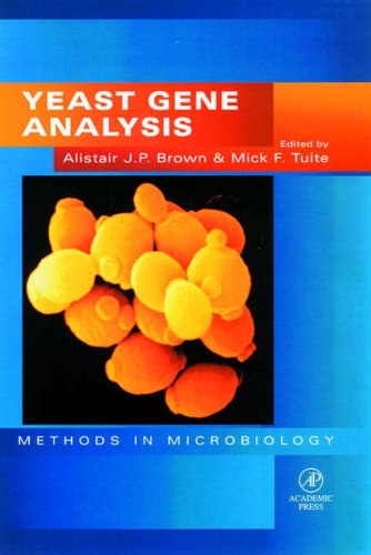 Stock image for Yeast Gene Analysis (Volume 26) (Methods in Microbiology, Volume 26) for sale by PAPER CAVALIER US