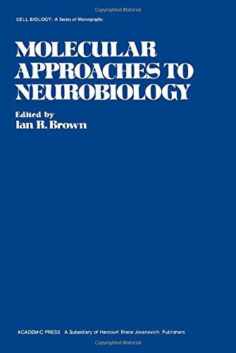 Imagen de archivo de Molecular Approaches to Neurobiology a la venta por Better World Books