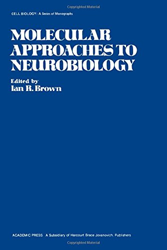 Stock image for Molecular Approaches to Neurobiology for sale by Better World Books