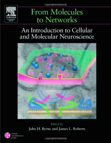 Stock image for From Molecules to Networks: An Introduction to Cellular and Molecular Neuroscience for sale by Anybook.com