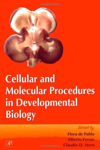 Stock image for Cellular and Molecular Procedures in Developmental Biology, Volume 36 for sale by Mahler Books