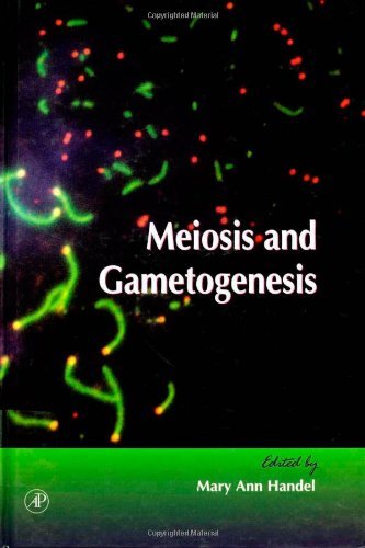 9780121531379: Meiosis and Gametogenesis (Volume 37) (Current Topics in Developmental Biology, Volume 37)