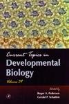 9780121531393: Current Topics in Developmental Biology: Volume 39