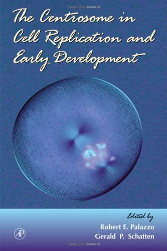 Stock image for The Centrosome in Cell Replication and Early Development (Volume 49) (Current Topics in Developmental Biology, Volume 49) for sale by BOOKWEST