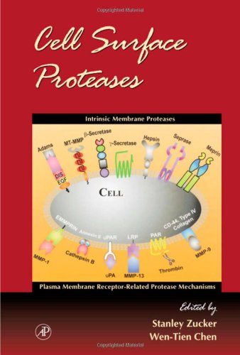 Beispielbild fr Cell Surface Proteases zum Verkauf von Better World Books