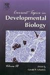 Stock image for CURRENT TOPICS IN DEVELOPMENTAL BIOLOGY, VOLUME 58 for sale by Romtrade Corp.