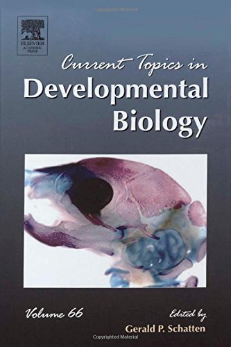 9780121531669: Current Topics in Developmental Biology (Volume 66)