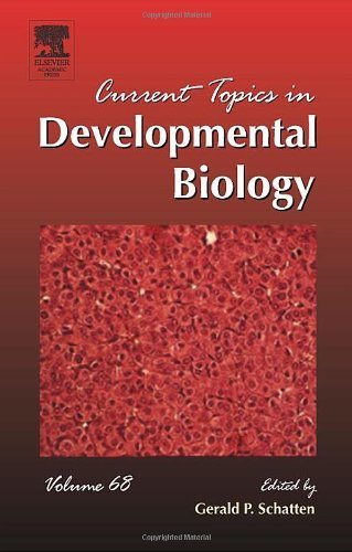 Stock image for Current Topics in Developmental Biology, Vol. 68 for sale by Books Puddle