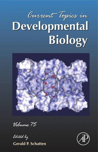 Stock image for Current Topics in Developmental Biology: 75 for sale by Chiron Media