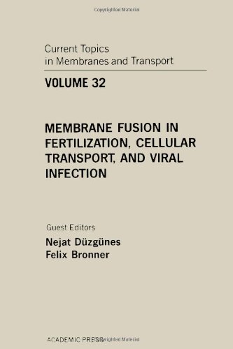 Stock image for Current Topics in Membranes and Transport, Volume 32: Membrane Fusion in Fertilization, Cellular Transport, and Viral Infection (Current Topics in Membranes) for sale by Zubal-Books, Since 1961