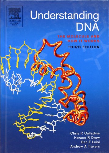 9780121550899: Understanding DNA: The Molecule and How it Works