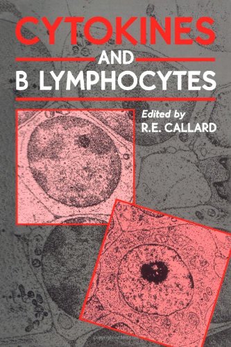 9780121551452: Cytokines and B Lymphocytes