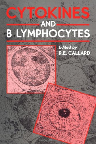 Stock image for Cytokines and B Lymphocytes for sale by Better World Books Ltd