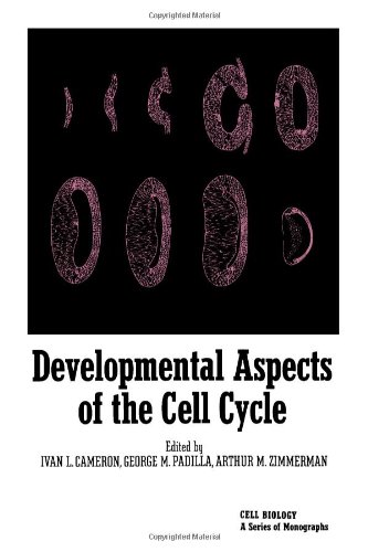 Stock image for Developmental Aspects of the Cell Cycle (Cell Biology Symposium) for sale by NEPO UG