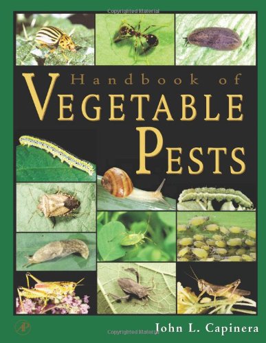 Stock image for Handbook of Vegetable Pests for sale by Ergodebooks