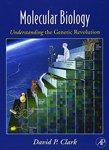 Imagen de archivo de Molecular Biology: Understanding the Genetic Revolution a la venta por Wonder Book