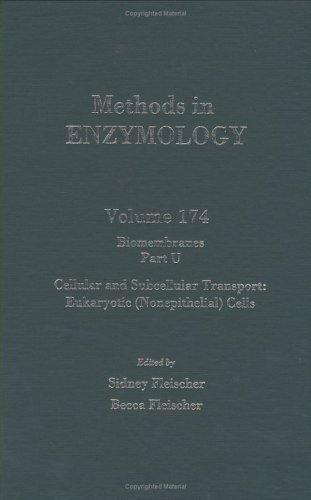 Imagen de archivo de Methods in Enzymology, Volume 174: Biomembranes, Part U, Cellular and Subcellular Transport: Eukarytic (Nonepithelial) Cells a la venta por Bookmonger.Ltd