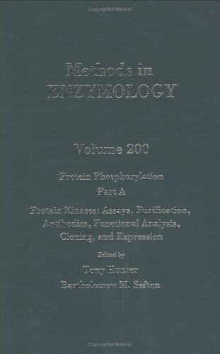 Beispielbild fr Methods in Enzymology: Protein Phosphorylation : Part A : Protein Kinases : Assays, Purification, Antibodies, Functional Analysis, Cloning, zum Verkauf von Ammareal