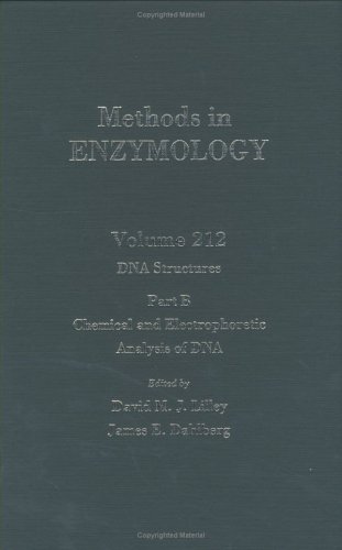 Beispielbild fr DNA Structures, Part B, Chemical and Electrophoretic Analysis of DNA : Volume 212 (Methods in Enzymology) zum Verkauf von Zubal-Books, Since 1961