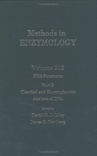 Imagen de archivo de DNA Structures, Part B, Chemical and Electrophoretic Analysis of DNA : Volume 212 (Methods in Enzymology) a la venta por Zubal-Books, Since 1961