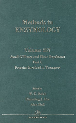 Imagen de archivo de Methods in Enzymology (Volume 257): Small GTPases and Their Regulators, Part C - Proteins Involved in Transport a la venta por Anybook.com