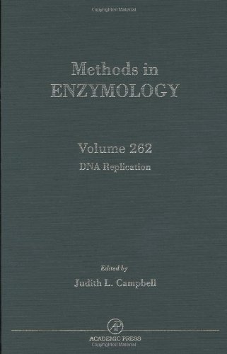 Imagen de archivo de Methods in Enzymology (Volume 262): DNA Replication a la venta por Anybook.com