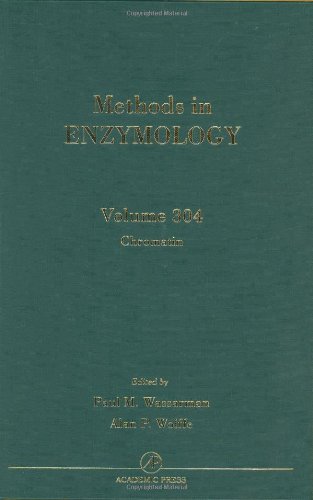 9780121822057: Chromatin: Volume 304 (Methods in Enzymology)