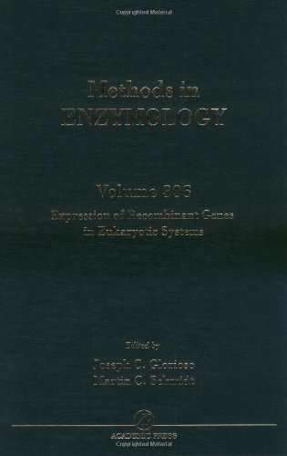 Stock image for Expression of Recombinant Genes in Eukaryotic Systems (Volume 306) (Methods in Enzymology, Volume 306) for sale by ThriftBooks-Dallas