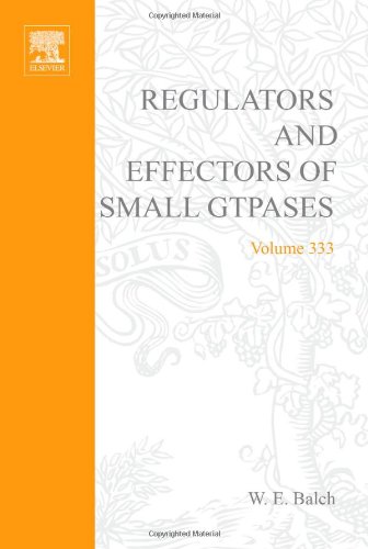 Stock image for Regulators and Effectors of Small GTPases, Part G: Ras Family II. Methods in Enzymology, Vol 333 for sale by Zubal-Books, Since 1961