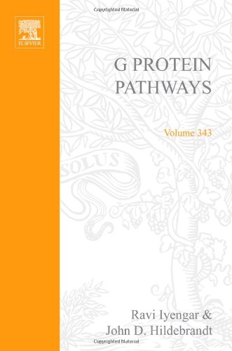Beispielbild fr G Protein Pathways, Part A: Receptors (Methods in Enzymology, Volume 343) zum Verkauf von Zubal-Books, Since 1961