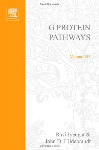 Imagen de archivo de G Protein Pathways, Part A: Receptors (Methods in Enzymology, Volume 343) a la venta por Zubal-Books, Since 1961