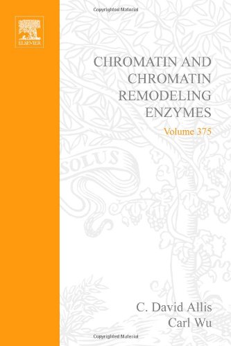 9780121827793: Chromatin and Chromatin Remodeling Enzymes, Part A: Volume 375 (Methods in Enzymology)