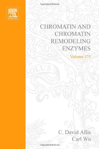 Stock image for Methods in Enzymology, Vol. 375: Chromatin and Chromatin Remodeling Enzymes, Part A (Volume 375) for sale by Anybook.com