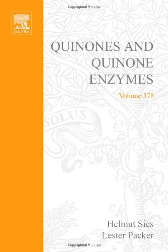 Stock image for Quinones and Quinone Enzymes, Part A (Volume 378) (Methods in Enzymology, Volume 378) for sale by Phatpocket Limited