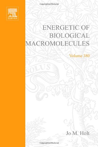 Stock image for Energetics of Biological Macromolecules, Part E: Pt. E (Methods in Enzymology): Volume 380 for sale by Chiron Media