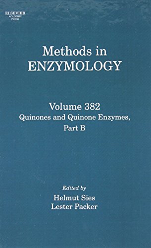 Stock image for METHODS IN ENZYMOLOGY, VOLUME 382, PART B: QUINONES AND QUINONE ENZYMES, for sale by Romtrade Corp.