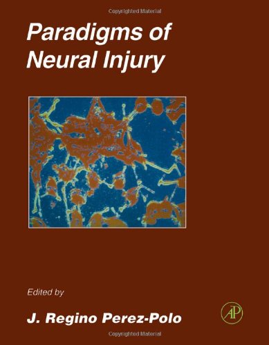 Stock image for Paradigms of Neural Injury: Volume 30 for sale by ThriftBooks-Dallas