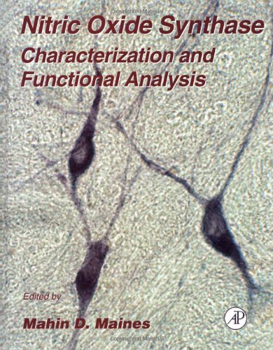 Beispielbild fr Nitric Oxide Synthase: Characterization and Functional Analysis Vol. 31 zum Verkauf von Better World Books